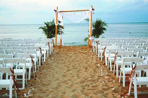 tiffany chairs